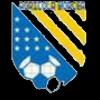 https://img.hbchichong.com/img/football/team/85d1779eee24ddffe358a2fe3b76cecb.png